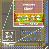 Image of Odin by Charlotte Frenkel