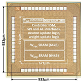 Image of ReckOn - Charlotte Frenkel